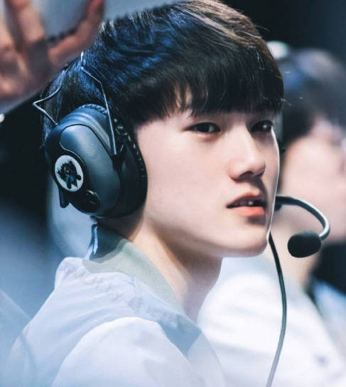 预测的高质 预测的高质